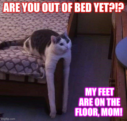 My feet are out of bed, technically! | ARE YOU OUT OF BED YET?!? MY FEET ARE ON THE FLOOR, MOM! | image tagged in long legs,cats,memes,waking up,no lie,feet | made w/ Imgflip meme maker
