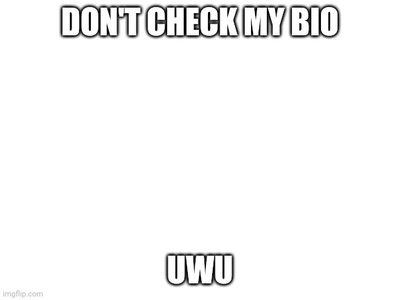 :3 | DON'T CHECK MY BIO; UWU | image tagged in blank white template | made w/ Imgflip meme maker