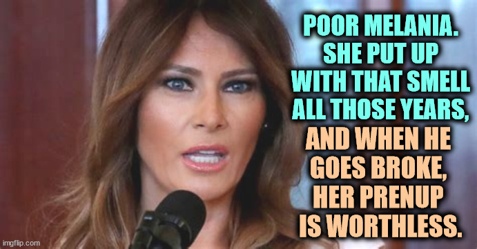 Marrying for money is always a gamble. | POOR MELANIA. SHE PUT UP WITH THAT SMELL ALL THOSE YEARS, AND WHEN HE 
GOES BROKE, 
HER PRENUP 
IS WORTHLESS. | image tagged in melania trump,gold digger,trump,broke | made w/ Imgflip meme maker