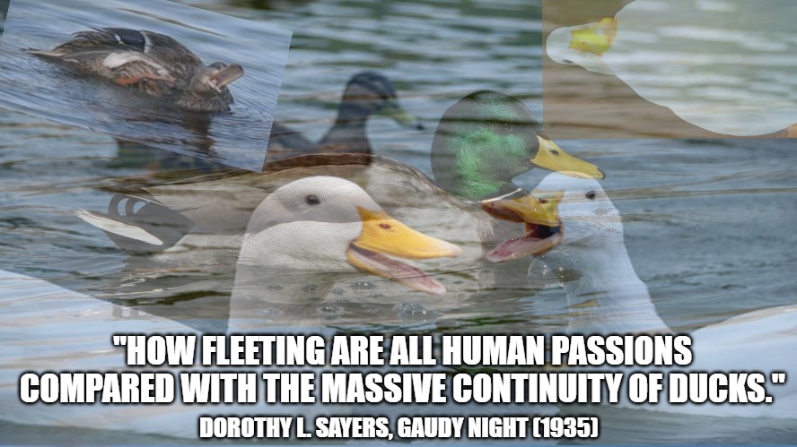 endless ducks | "HOW FLEETING ARE ALL HUMAN PASSIONS COMPARED WITH THE MASSIVE CONTINUITY OF DUCKS."; DOROTHY L. SAYERS, GAUDY NIGHT (1935) | image tagged in duck,eternity,humanity | made w/ Imgflip meme maker