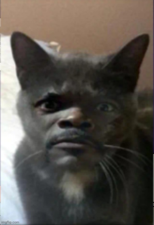 .Shiver. hasn't posted for a while. I am curious as to why. | made w/ Imgflip meme maker