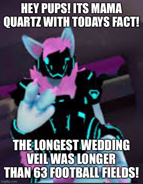 HEY PUPS! ITS MAMA QUARTZ WITH TODAYS FACT! THE LONGEST WEDDING VEIL WAS LONGER THAN 63 FOOTBALL FIELDS! | made w/ Imgflip meme maker