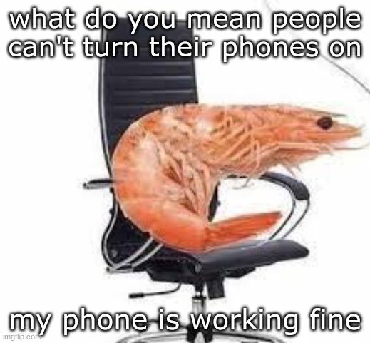 chair shrimp | what do you mean people can't turn their phones on; my phone is working fine | image tagged in chair shrimp | made w/ Imgflip meme maker