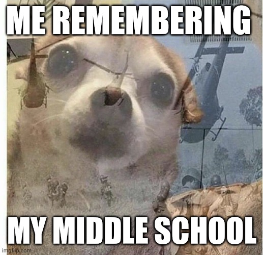 It was hell tbh | ME REMEMBERING; MY MIDDLE SCHOOL | image tagged in ptsd chihuahua | made w/ Imgflip meme maker