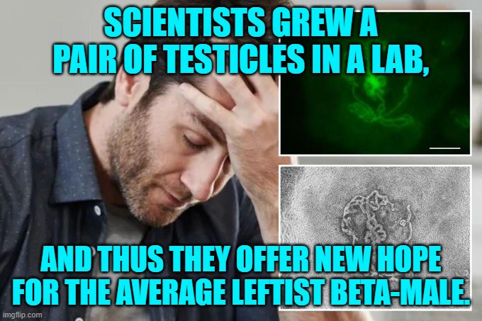 Imagine the possibilities for leftist pronouns. | SCIENTISTS GREW A PAIR OF TESTICLES IN A LAB, AND THUS THEY OFFER NEW HOPE FOR THE AVERAGE LEFTIST BETA-MALE. | image tagged in yep | made w/ Imgflip meme maker