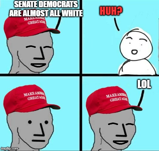 Democrats hypocrites on race | SENATE DEMOCRATS ARE ALMOST ALL WHITE; HUH? LOL | image tagged in npc maga laughing,democrats,racism | made w/ Imgflip meme maker