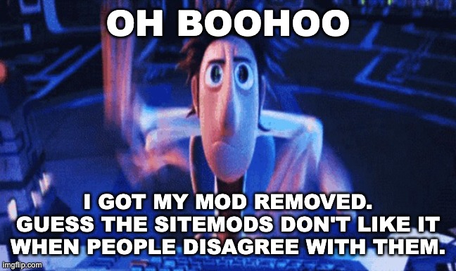 I don't really care so I'm probably not gonna try to get it back. I barely come here anyway | OH BOOHOO; I GOT MY MOD REMOVED. GUESS THE SITEMODS DON'T LIKE IT WHEN PEOPLE DISAGREE WITH THEM. | image tagged in flintlock temp | made w/ Imgflip meme maker