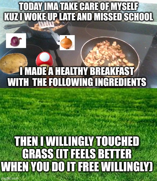 ima be healthy today | TODAY IMA TAKE CARE OF MYSELF KUZ I WOKE UP LATE AND MISSED SCHOOL; I MADE A HEALTHY BREAKFAST WITH  THE FOLLOWING INGREDIENTS; THEN I WILLINGLY TOUCHED GRASS (IT FEELS BETTER WHEN YOU DO IT FREE WILLINGLY) | image tagged in touching grass | made w/ Imgflip meme maker
