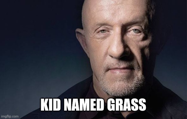 Kid Named | KID NAMED GRASS | image tagged in kid named | made w/ Imgflip meme maker