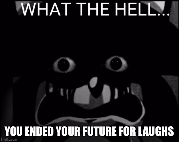 Sonic what the hell | YOU ENDED YOUR FUTURE FOR LAUGHS | image tagged in sonic what the hell | made w/ Imgflip meme maker