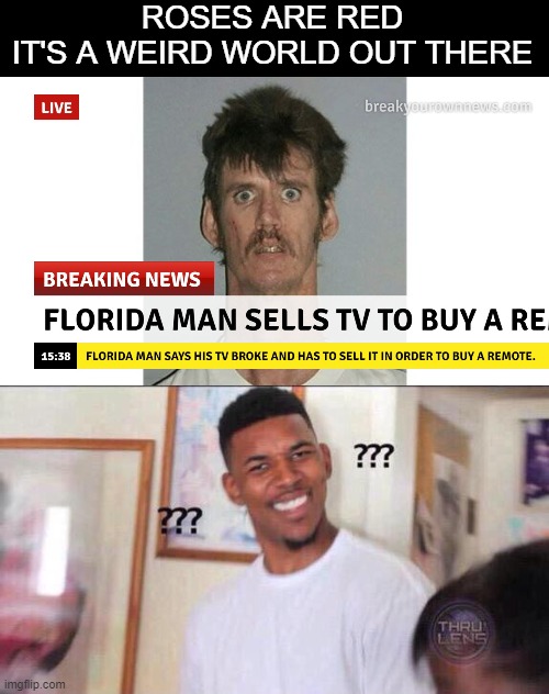 If there is no TV, why buy a remote? | ROSES ARE RED
IT'S A WEIRD WORLD OUT THERE | image tagged in black guy confused | made w/ Imgflip meme maker