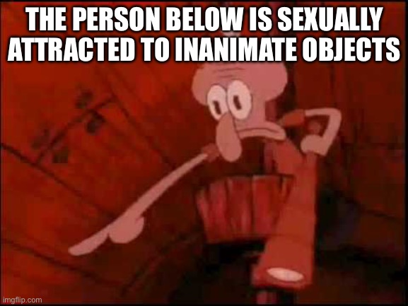 Squidward pointing | THE PERSON BELOW IS SEXUALLY ATTRACTED TO INANIMATE OBJECTS | image tagged in squidward pointing | made w/ Imgflip meme maker