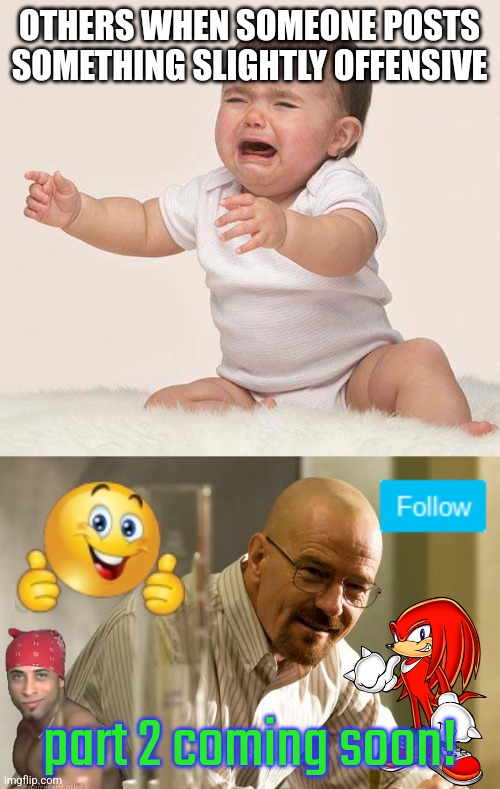 OTHERS WHEN SOMEONE POSTS SOMETHING SLIGHTLY OFFENSIVE; part 2 coming soon! | image tagged in i'm offended | made w/ Imgflip meme maker