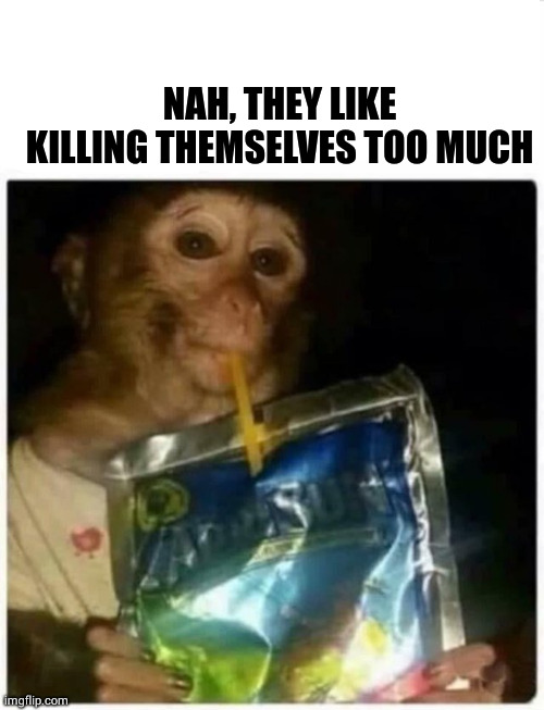 Skeptical Monkey Kid with Capri Sun | NAH, THEY LIKE KILLING THEMSELVES TOO MUCH | image tagged in skeptical monkey kid with capri sun | made w/ Imgflip meme maker