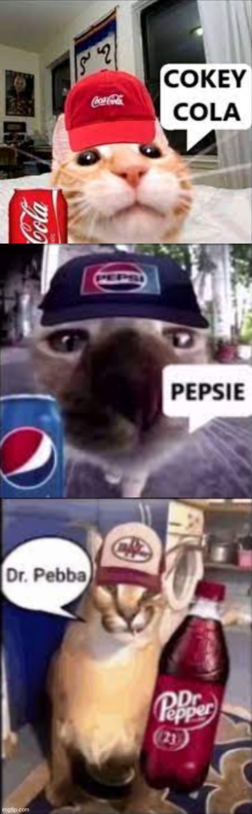 image tagged in cokey cola,pepsie,dr pebba | made w/ Imgflip meme maker