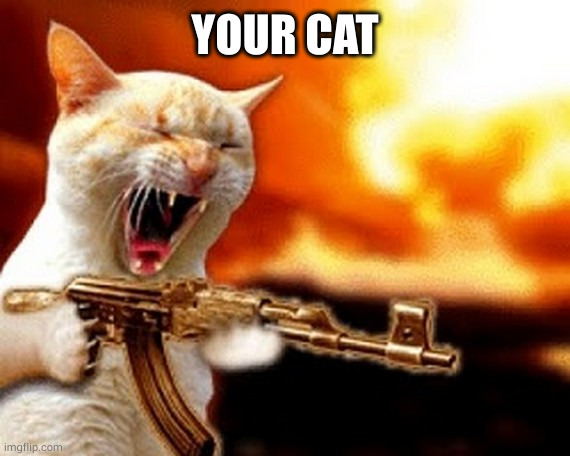 machine gun cat | YOUR CAT | image tagged in machine gun cat | made w/ Imgflip meme maker