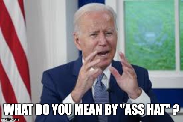 Ass Hat | WHAT DO YOU MEAN BY "ASS HAT" ? | image tagged in ass hat | made w/ Imgflip meme maker