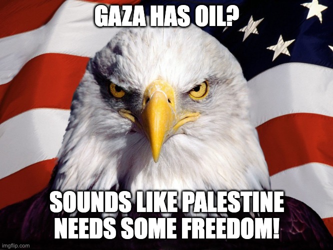 Gaza Has Oil Needs Some FREEDOM! | GAZA HAS OIL? SOUNDS LIKE PALESTINE NEEDS SOME FREEDOM! | image tagged in freedom eagle,gaza has oil,palestinian genocide,anti-netanyahu,excessive force | made w/ Imgflip meme maker