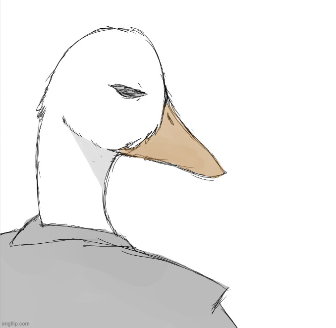 just a duck named August | image tagged in send help im bored | made w/ Imgflip meme maker