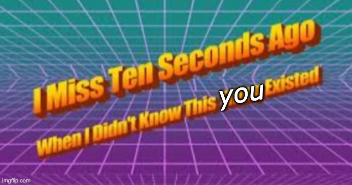 I miss ten seconds ago | you | image tagged in i miss ten seconds ago | made w/ Imgflip meme maker