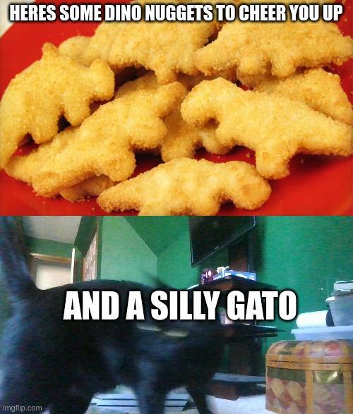 HERES SOME DINO NUGGETS TO CHEER YOU UP AND A SILLY GATO | image tagged in dinosaur chicken nuggets | made w/ Imgflip meme maker
