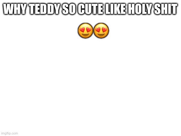 I js gotta simp now | WHY TEDDY SO CUTE LIKE HOLY SHIT; 😍😍 | made w/ Imgflip meme maker