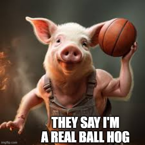 meme by Brad the pig was a real ball hog | THEY SAY I'M A REAL BALL HOG | image tagged in sports,basketball meme,basketball,pig,funny meme,humor | made w/ Imgflip meme maker