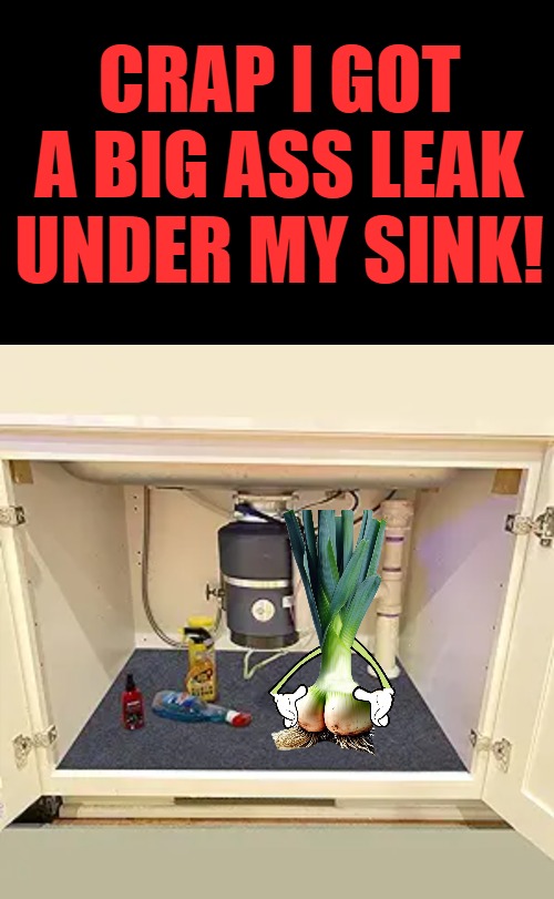 got a big ass leak under my sink | CRAP I GOT A BIG ASS LEAK UNDER MY SINK! | image tagged in black screen,kewlew | made w/ Imgflip meme maker