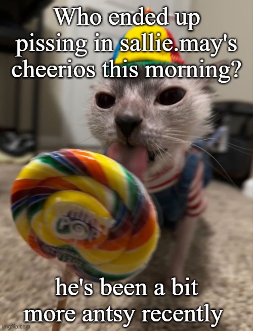 silly goober | Who ended up pissing in sallie.may's cheerios this morning? he's been a bit more antsy recently | image tagged in silly goober | made w/ Imgflip meme maker