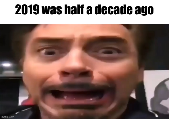 Robert Downey Jr Screaming | 2019 was half a decade ago | image tagged in robert downey jr screaming | made w/ Imgflip meme maker
