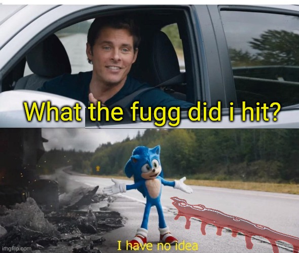 sonic how are you not dead | What the fugg did i hit? | image tagged in sonic how are you not dead | made w/ Imgflip meme maker