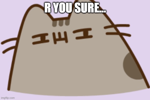 suspicious pusheen | R YOU SURE... | image tagged in suspicious pusheen | made w/ Imgflip meme maker