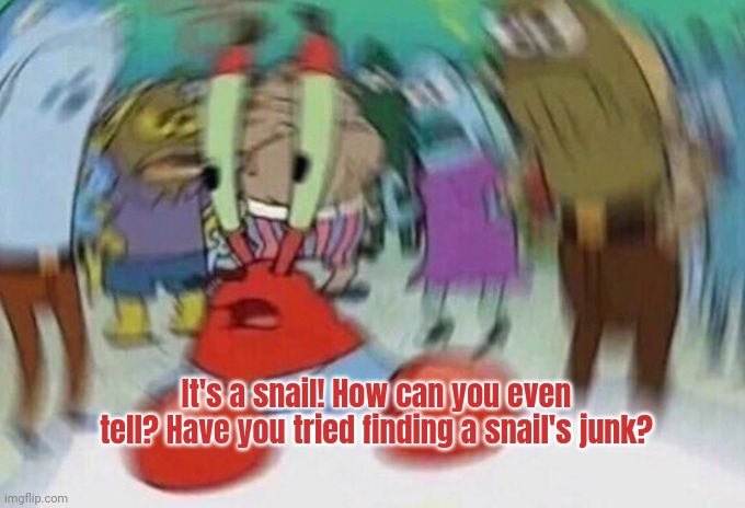 Mr Crabs | It's a snail! How can you even tell? Have you tried finding a snail's junk? | image tagged in mr crabs | made w/ Imgflip meme maker