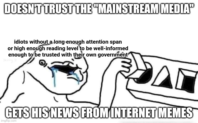 "Wherever the people are well informed they can be trusted with their own government." - Thomas Jefferson | DOESN'T TRUST THE "MAINSTREAM MEDIA"; idiots without a long enough attention span
or high enough reading level to be well-informed
enough to be trusted with their own government; GETS HIS NEWS FROM INTERNET MEMES | image tagged in stupid dumb drooling puzzle,mainstream media,memes,trust,government,thomas jefferson | made w/ Imgflip meme maker