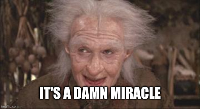 Princess Bride Miracle Max | IT'S A DAMN MIRACLE | image tagged in princess bride miracle max | made w/ Imgflip meme maker