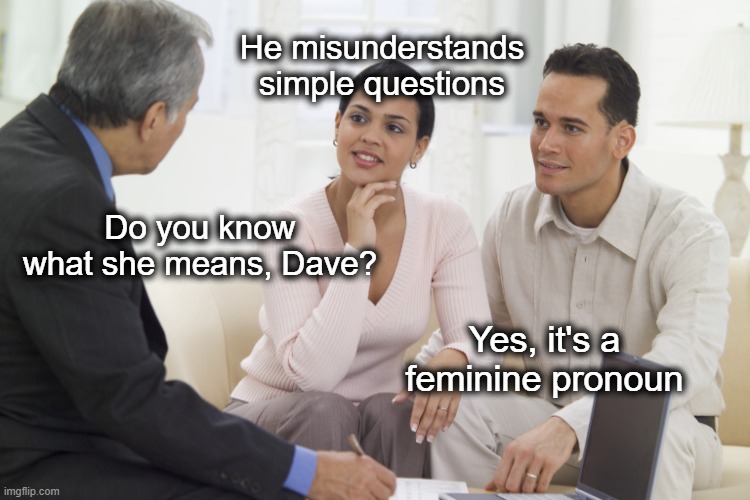 Marriage Counselling | He misunderstands simple questions Do you know what she means, Dave? Yes, it's a feminine pronoun | image tagged in marriage counselling | made w/ Imgflip meme maker