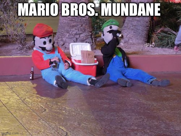Opposite of wonder | MARIO BROS. MUNDANE | image tagged in mario and luigi drunk | made w/ Imgflip meme maker