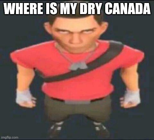 bro | WHERE IS MY DRY CANADA | image tagged in bro | made w/ Imgflip meme maker