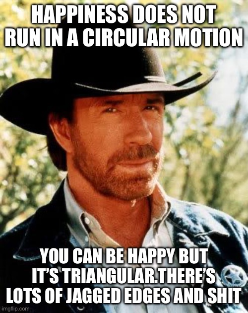 Happiness does bot run in a circular motion | HAPPINESS DOES NOT RUN IN A CIRCULAR MOTION; YOU CAN BE HAPPY BUT IT’S TRIANGULAR.THERE’S LOTS OF JAGGED EDGES AND SHIT | image tagged in memes,chuck norris,happiness,triangles are sharp,be happy,life is hard | made w/ Imgflip meme maker