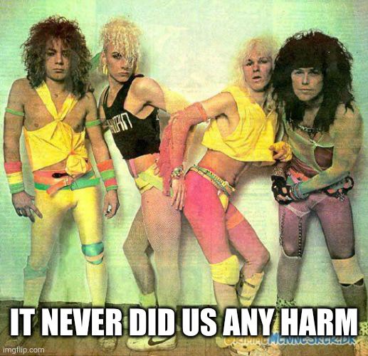 Party like an 80s rock star  | IT NEVER DID US ANY HARM | image tagged in party like an 80s rock star | made w/ Imgflip meme maker