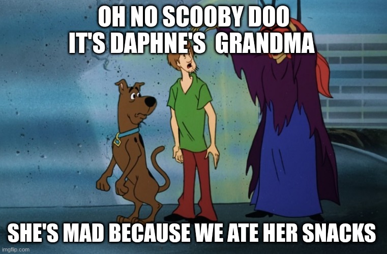 Hmm | OH NO SCOOBY DOO IT'S DAPHNE'S  GRANDMA; SHE'S MAD BECAUSE WE ATE HER SNACKS | image tagged in scooby doo | made w/ Imgflip meme maker