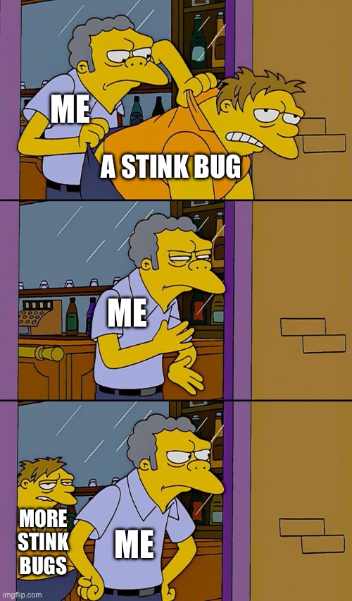 When you have stink bugs in the house | ME; A STINK BUG; ME; ME; MORE STINK BUGS | image tagged in moe throws barney,the simpsons,stink bugs,bugs,pests | made w/ Imgflip meme maker