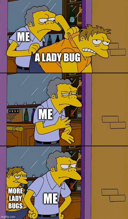 When you have lady bugs in the house | ME; A LADY BUG; ME; ME; MORE LADY BUGS | image tagged in moe throws barney,the simpsons,lady bug,bugs,pests | made w/ Imgflip meme maker