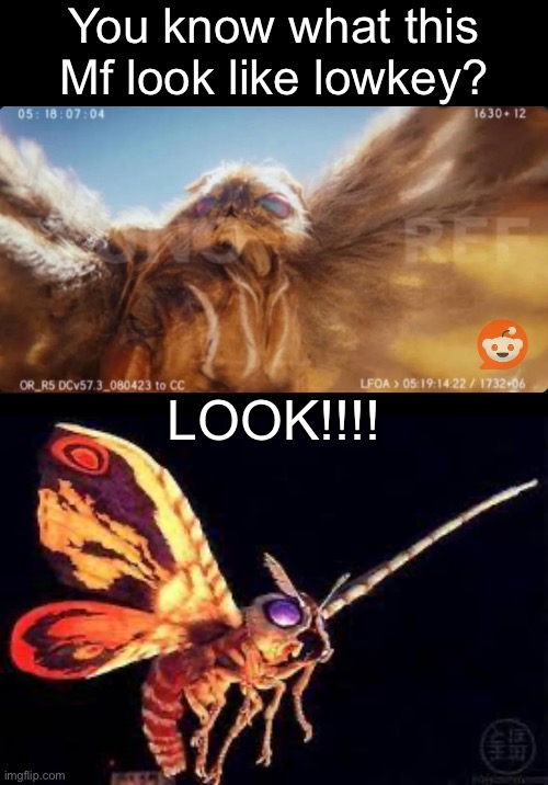 Idk why she reminds me of 2001 | You know what this Mf look like lowkey? LOOK!!!! | image tagged in godzilla,mothra,lookalike | made w/ Imgflip meme maker