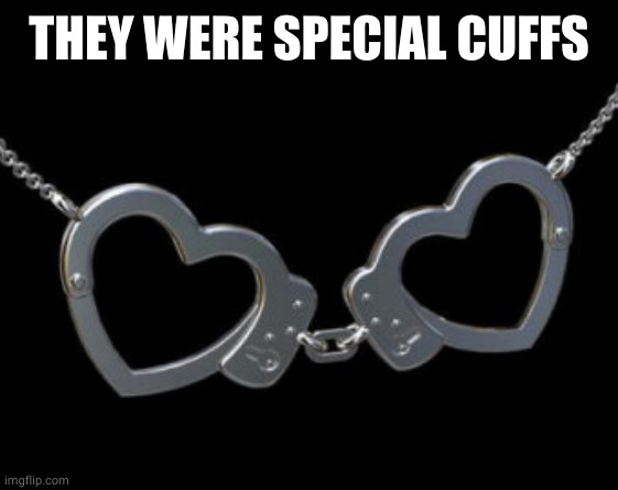 Cuffs | THEY WERE SPECIAL CUFFS | image tagged in cuffs | made w/ Imgflip meme maker