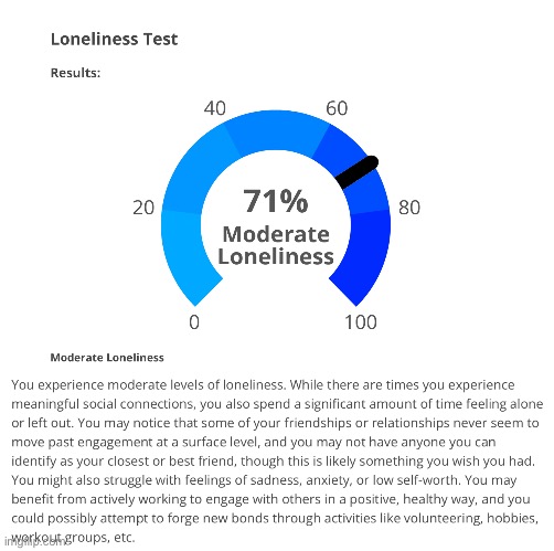Buh https://www.idrlabs.com/loneliness/test.php | made w/ Imgflip meme maker