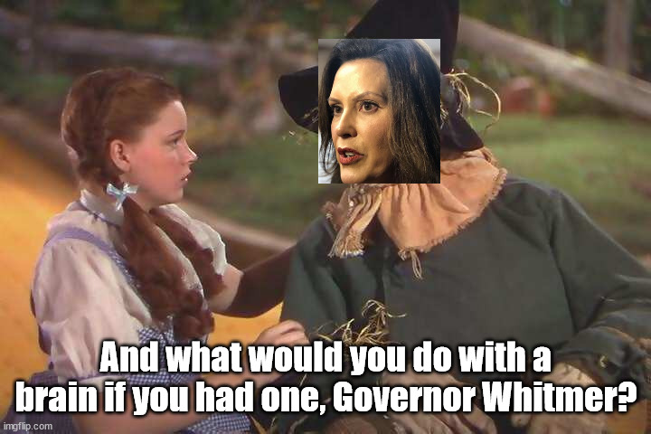 And what would you do with a brain if you had one, Governor Whitmer? | made w/ Imgflip meme maker