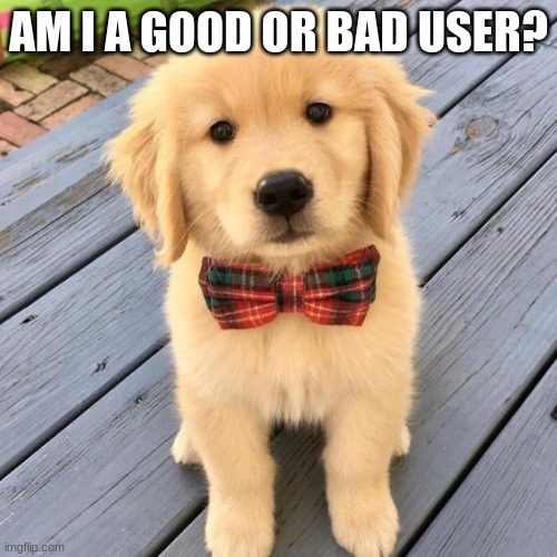 ? | AM I A GOOD OR BAD USER? | image tagged in hello | made w/ Imgflip meme maker