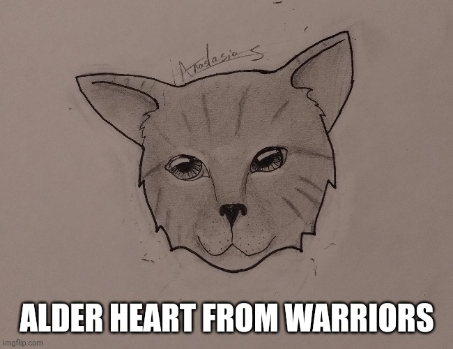 This took me an hour | ALDER HEART FROM WARRIORS | image tagged in warrior cats,drawing,sketch,warriors | made w/ Imgflip meme maker