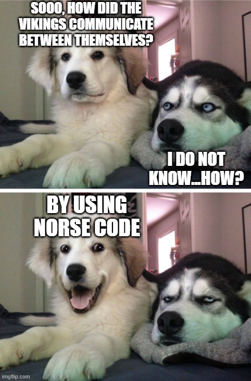 Bad Pun Husky | SOOO, HOW DID THE VIKINGS COMMUNICATE BETWEEN THEMSELVES? I DO NOT KNOW...HOW? BY USING NORSE CODE | image tagged in bad pun husky | made w/ Imgflip meme maker